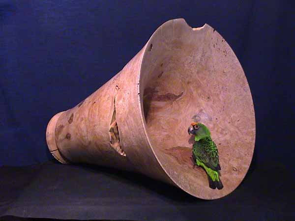 Speaker, final.jpg
